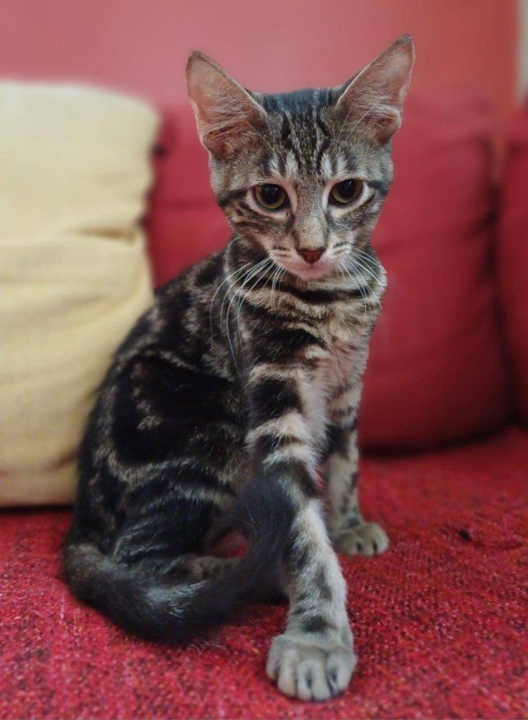 Eleanor
