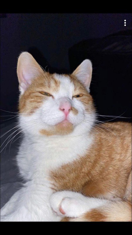 Sammy