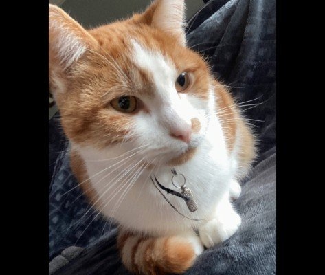 Sammy