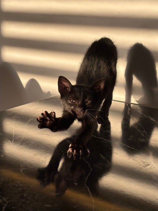 Eclipse