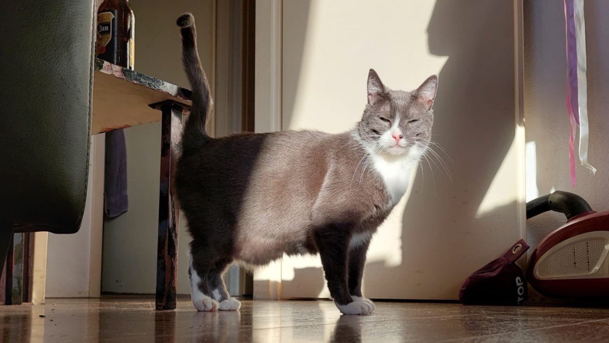 Max