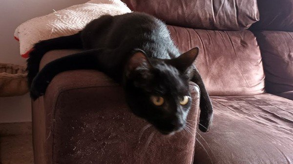 Salem