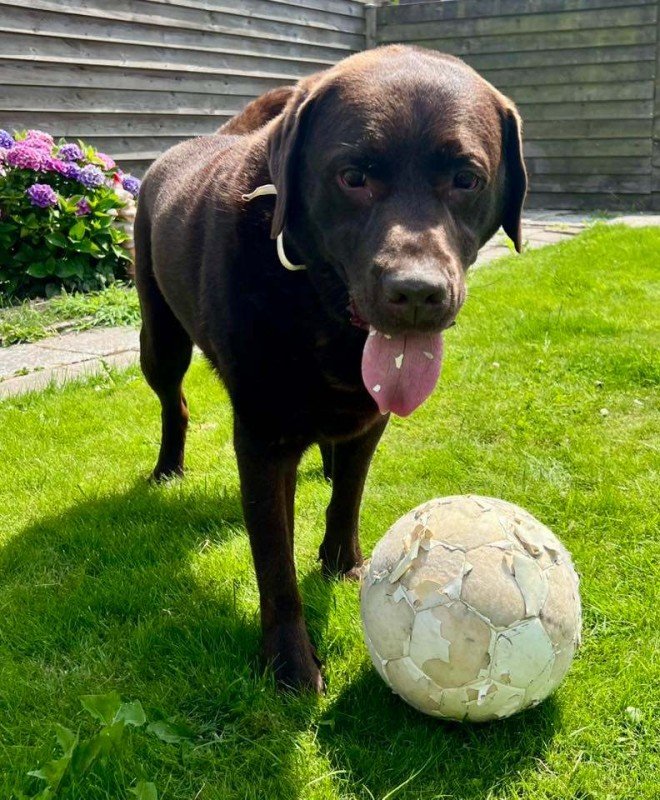 Sam