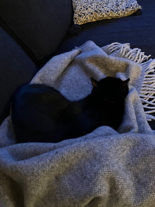 Floki