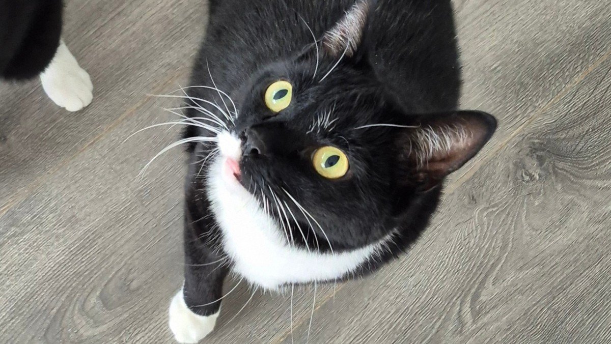Ernie