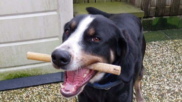 Max