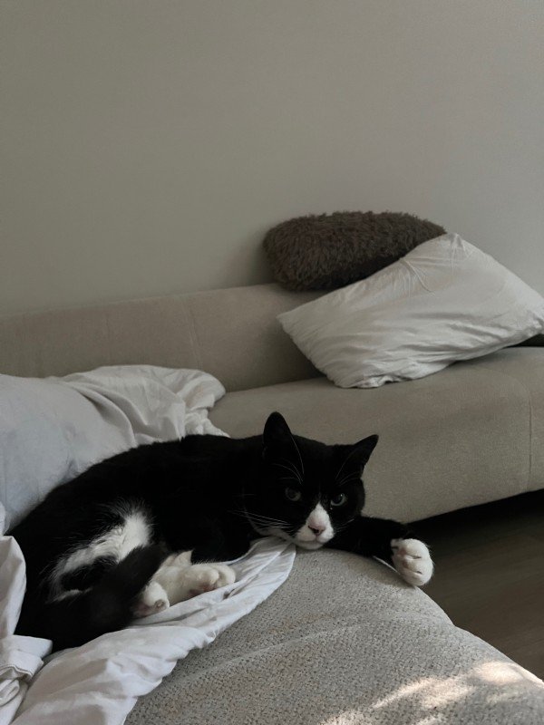 Nuppie