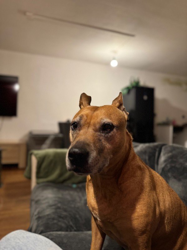 Kira