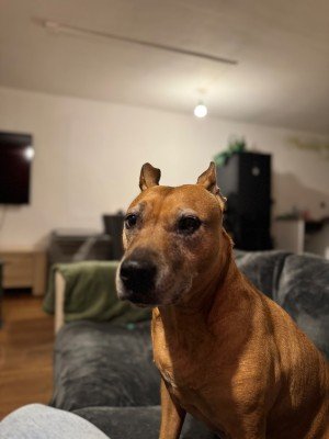 Kira