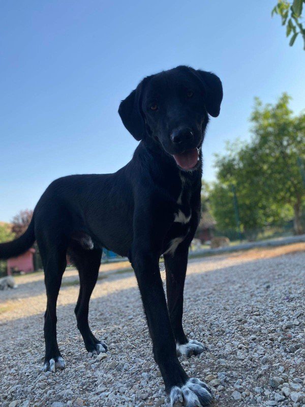 Zoe