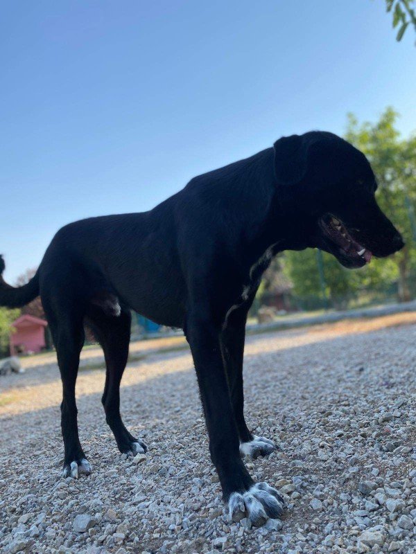 Zoe