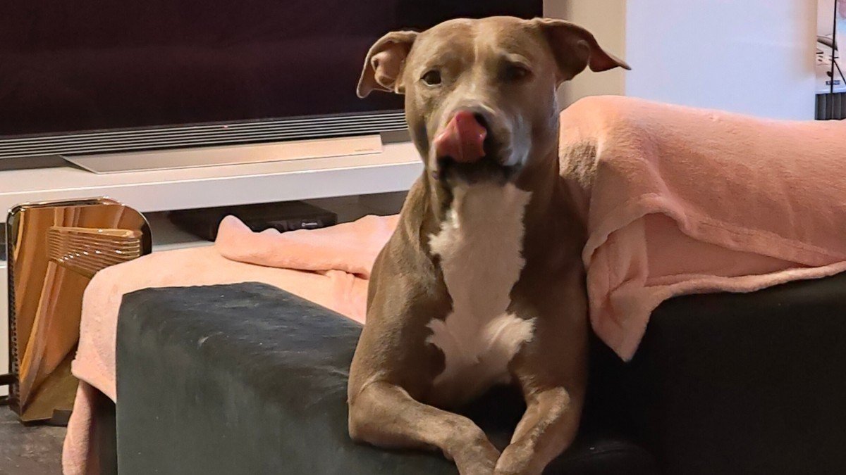 Diva
