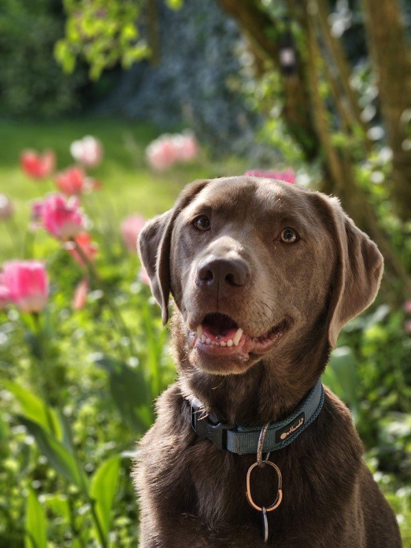 Max