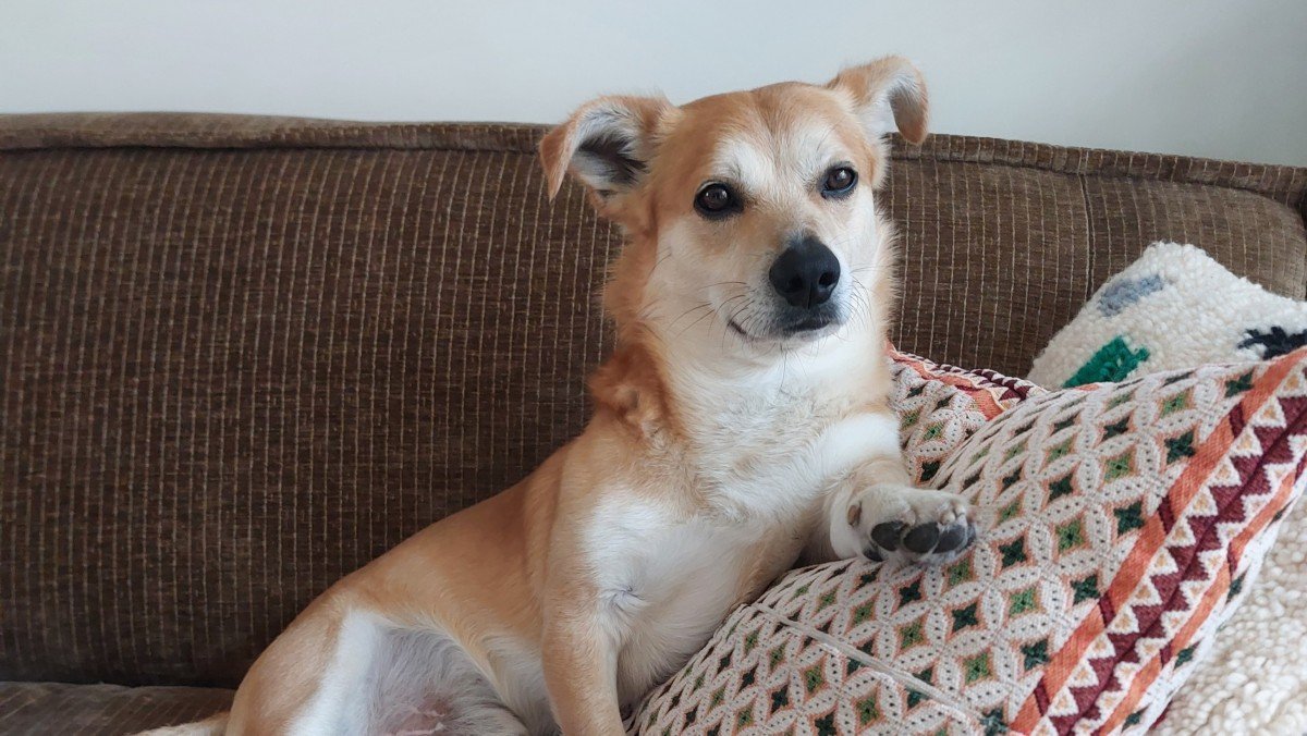 Luca