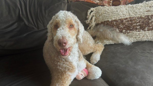 Ben
