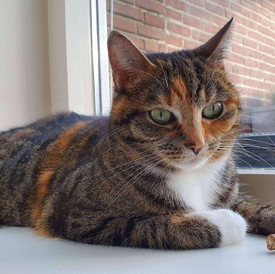 Missie