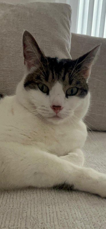 Pip