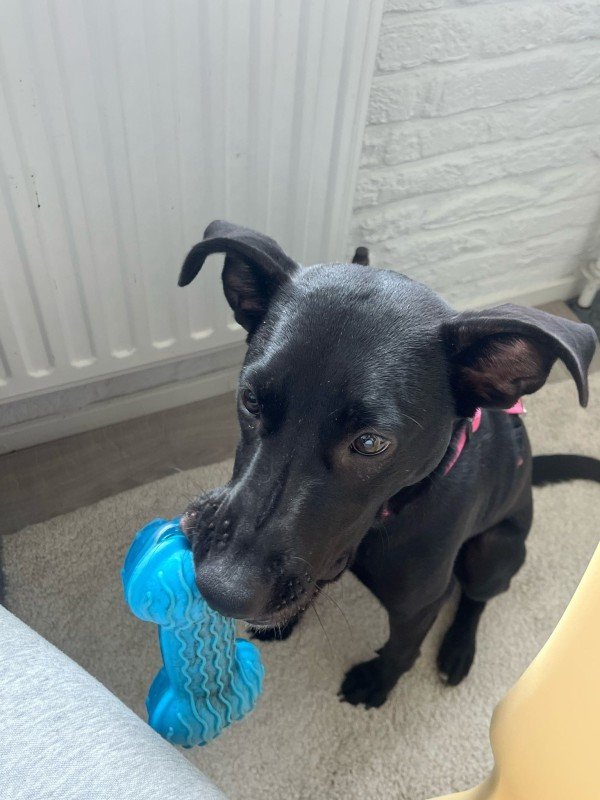 Luna
