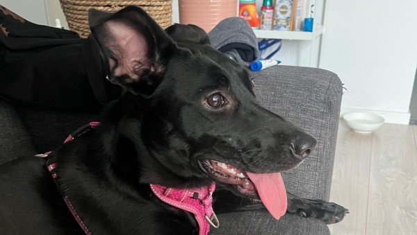 Luna