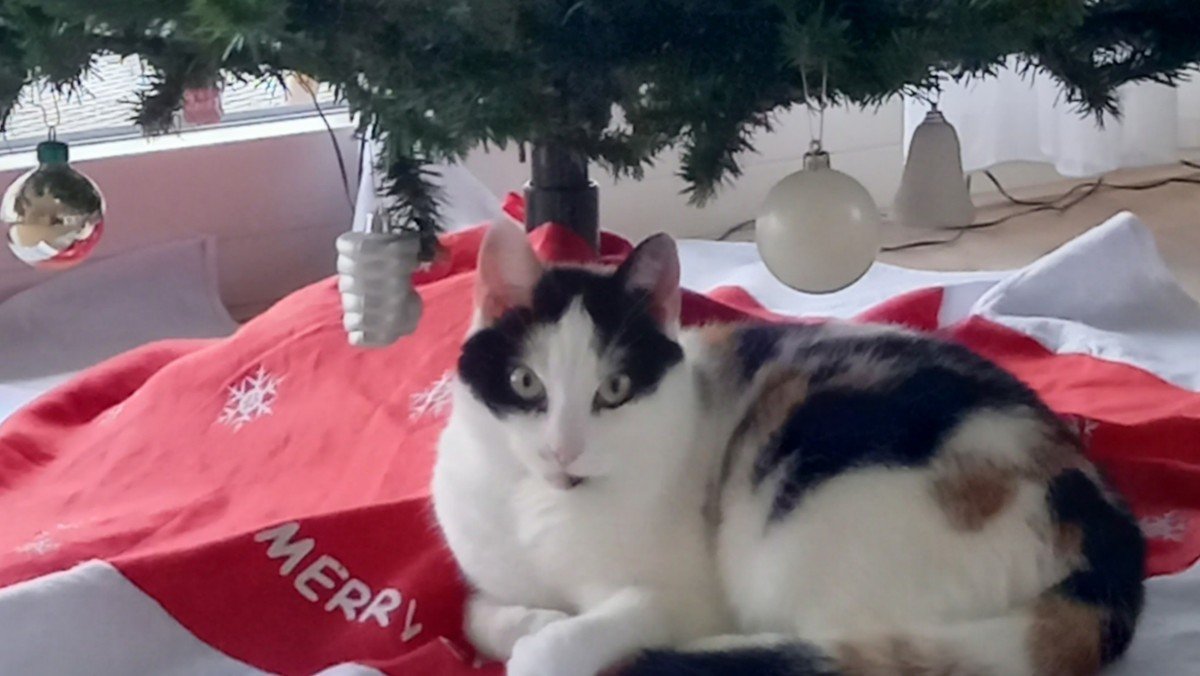 Mimie