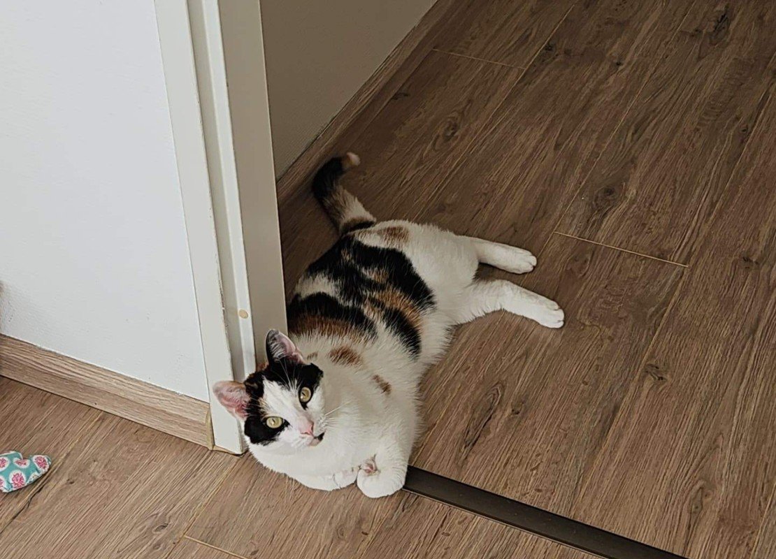 Mimie
