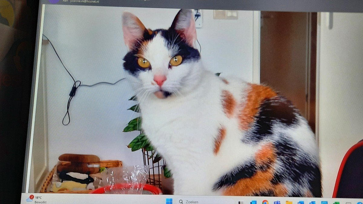 Mimie