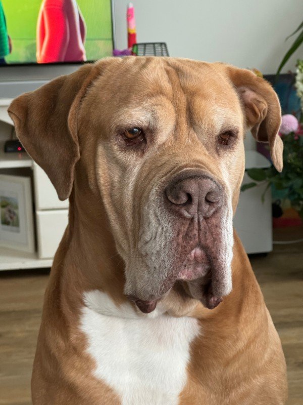 Nikos
