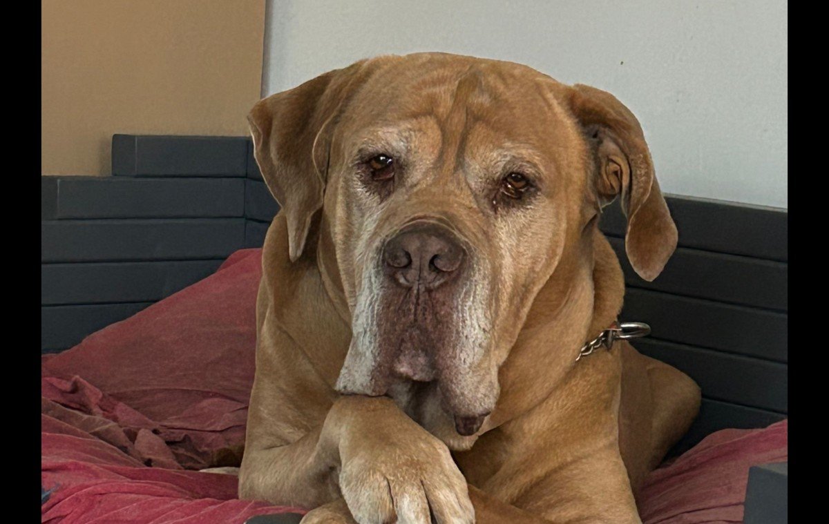 Nikos
