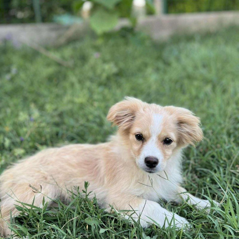 Tilly