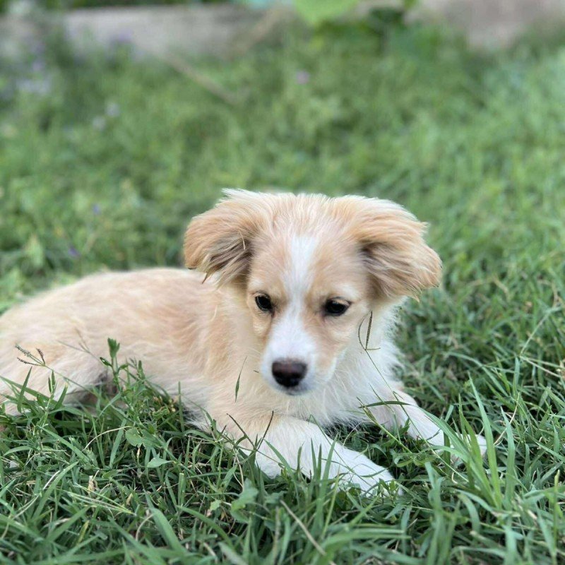 Tilly