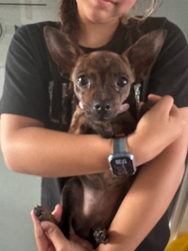 Chloé
