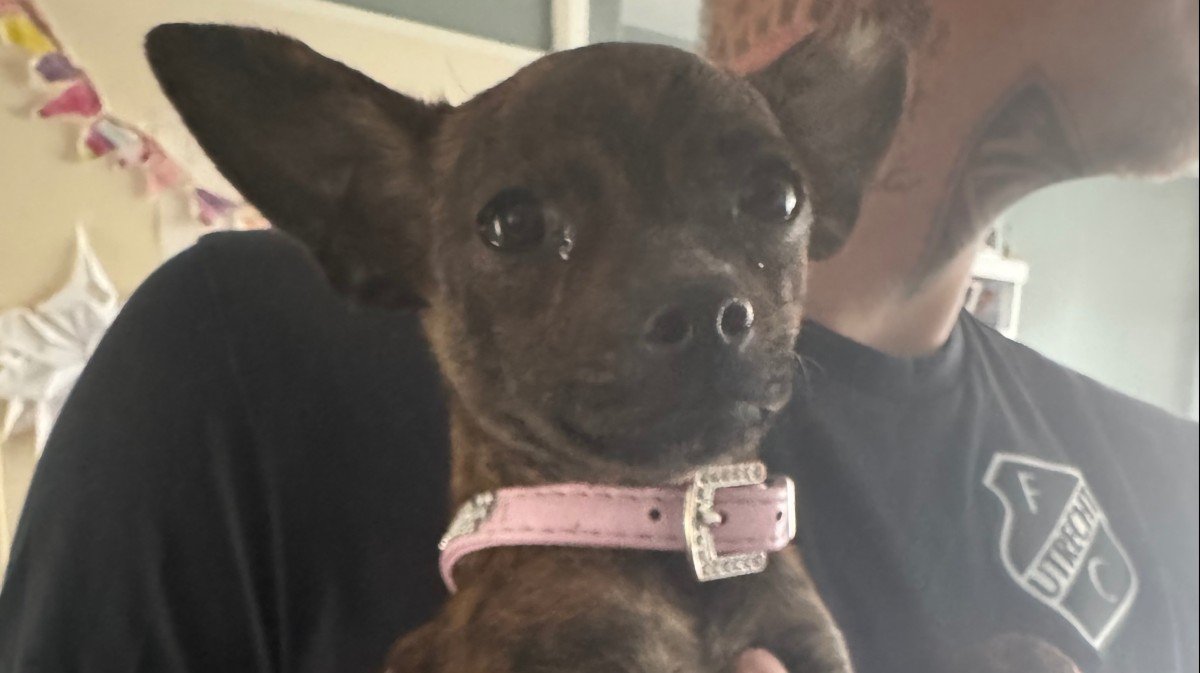 Chloé
