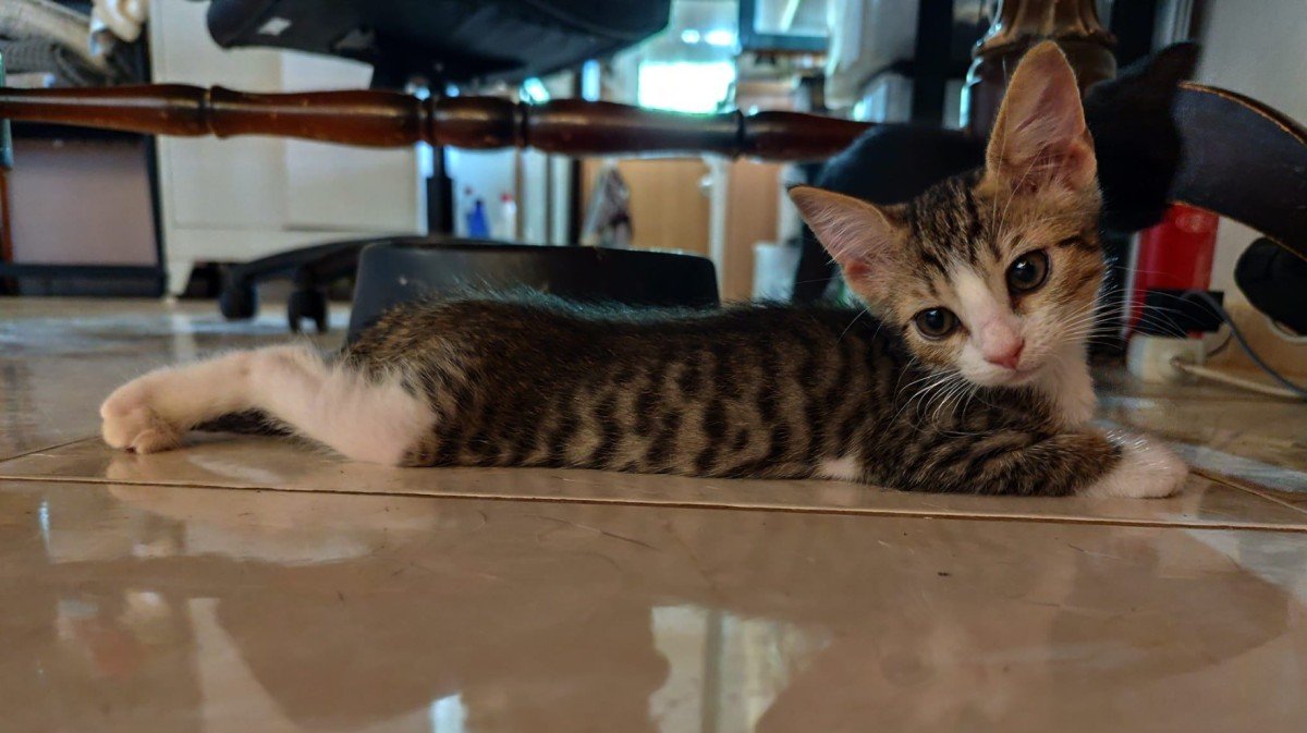Titus