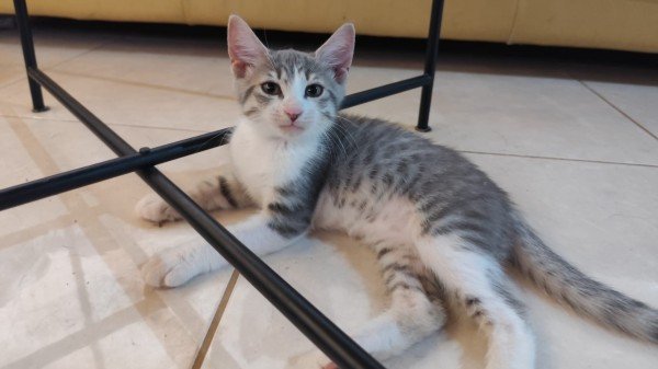 Sophie