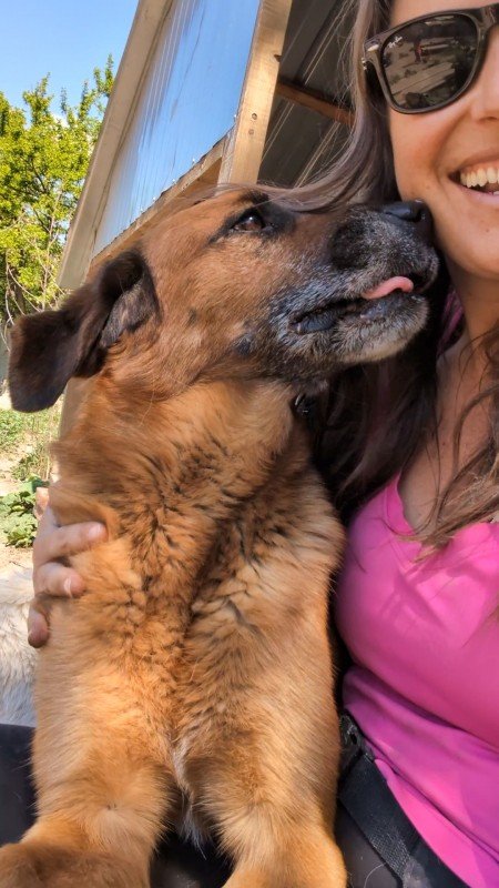 Sonja