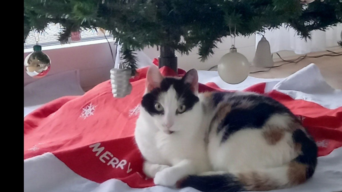 Mimie