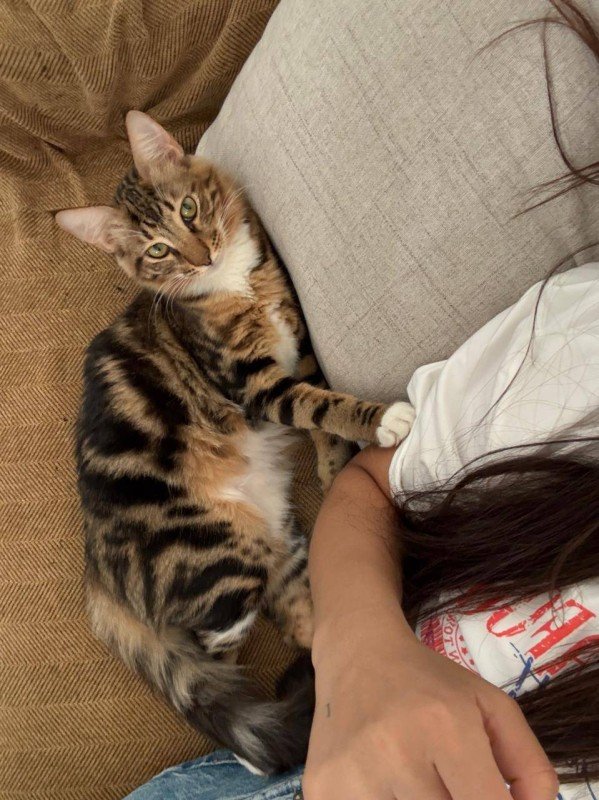 Nori