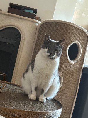 Opie