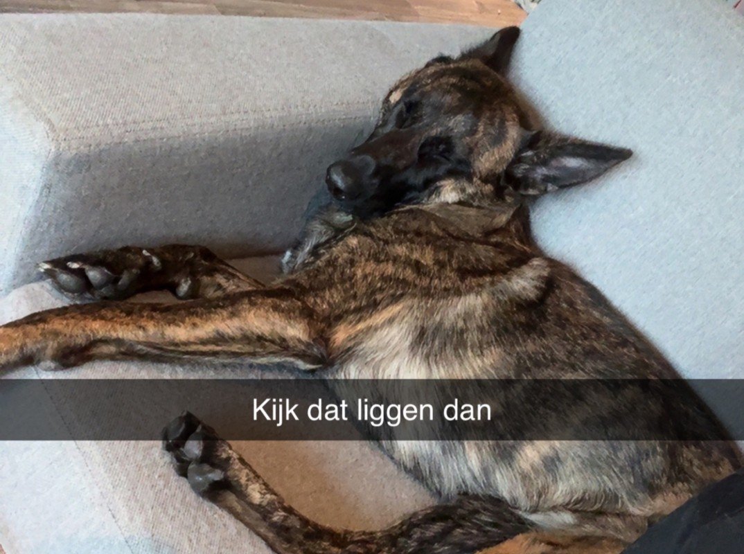 Nala