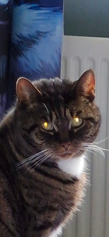 Luna