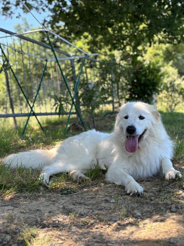 Zeus