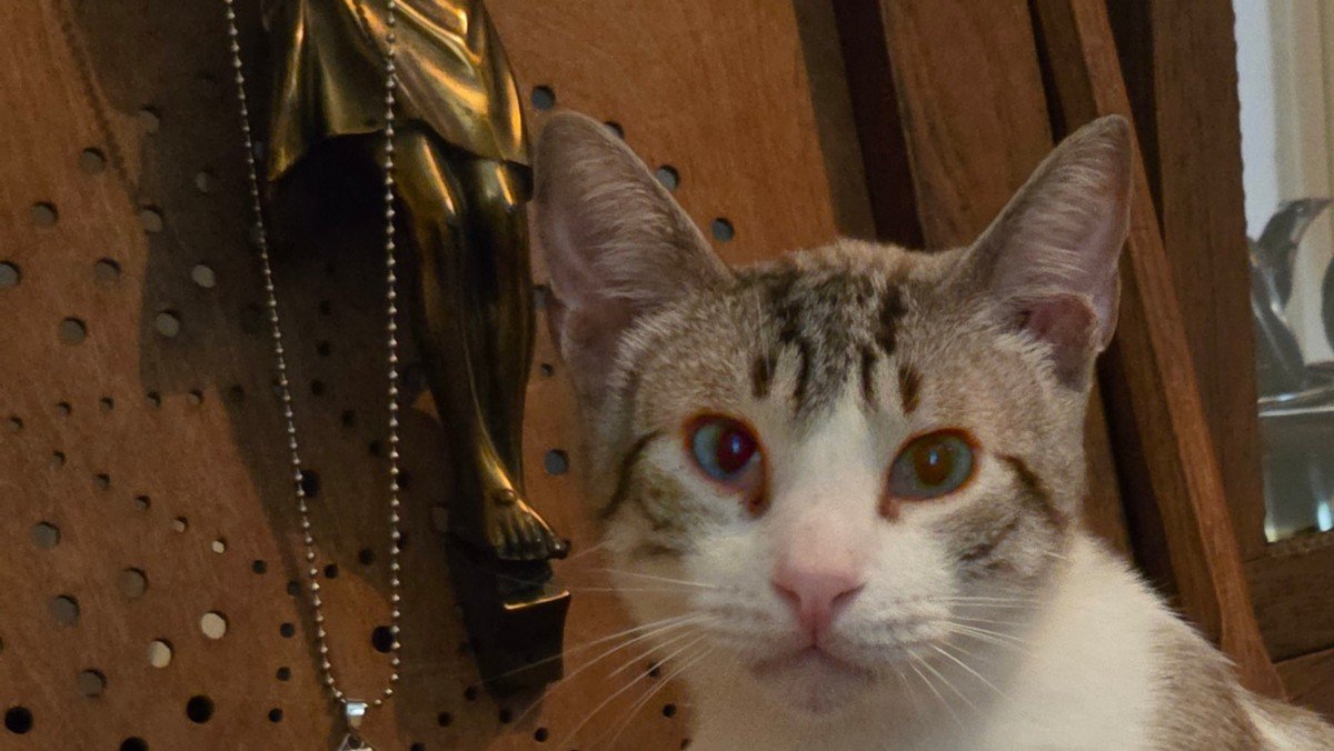 Loki