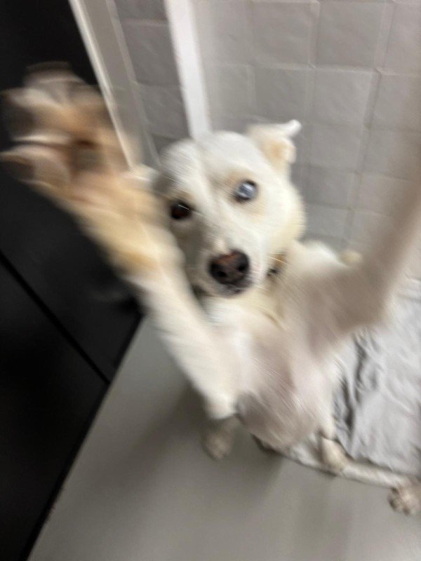 Gina