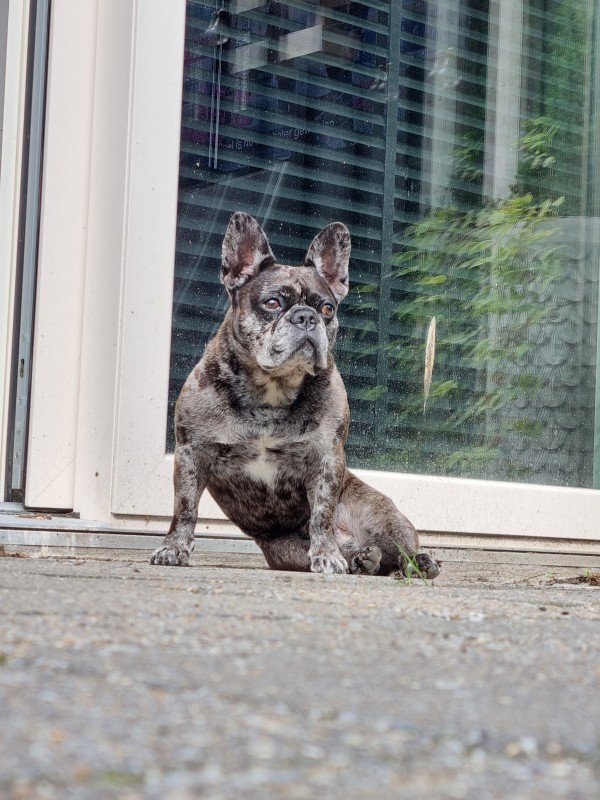 Max