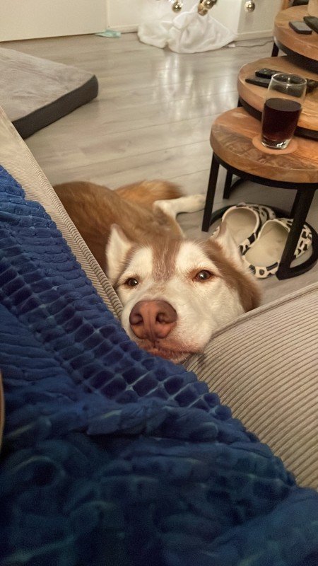 Dirk