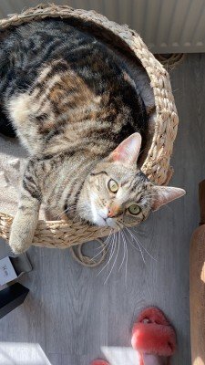 Luna