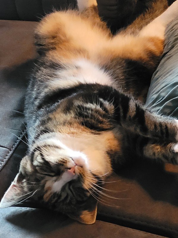 Luna
