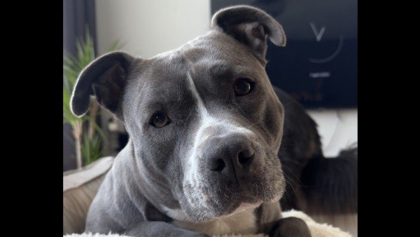 Skye