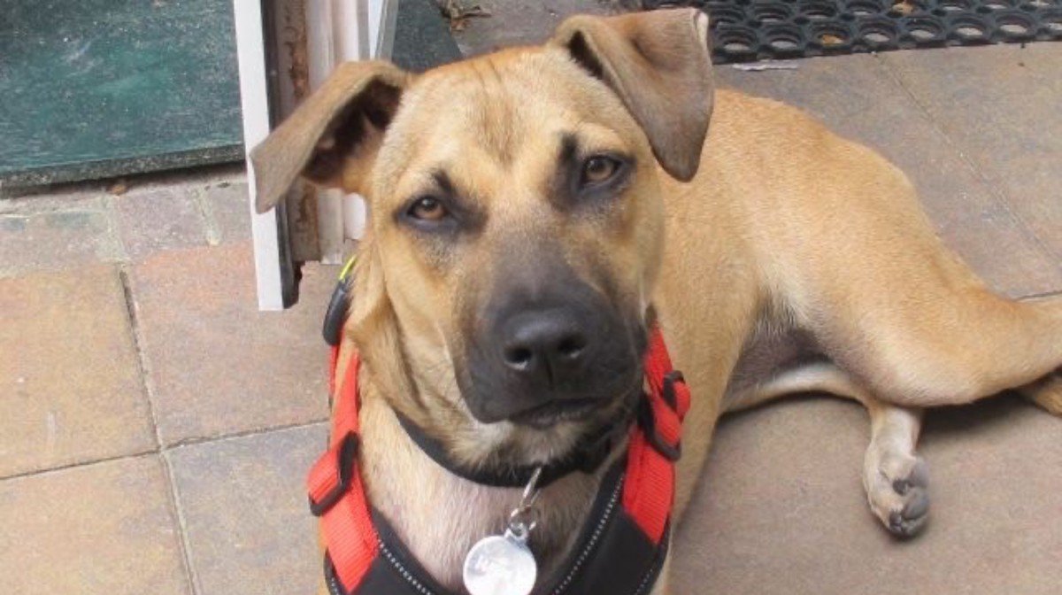 Roxy