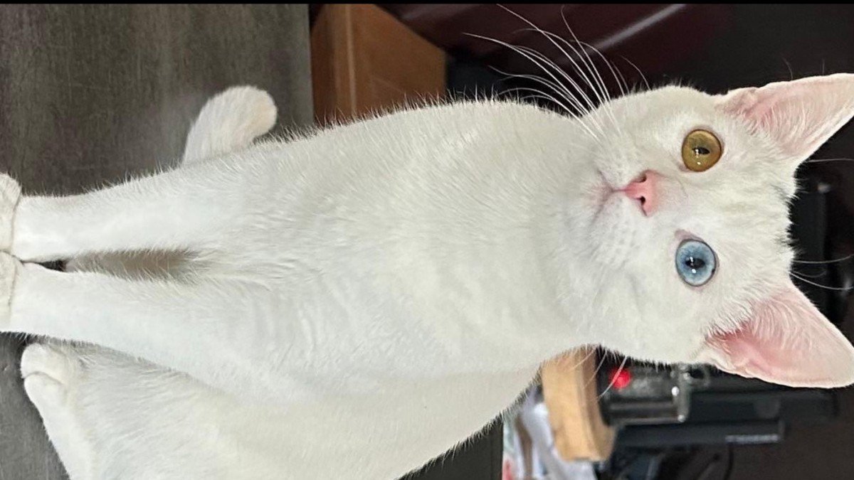 Bonnie